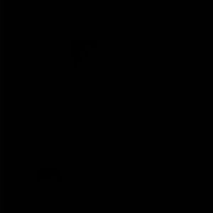 Meet your Posher, Real